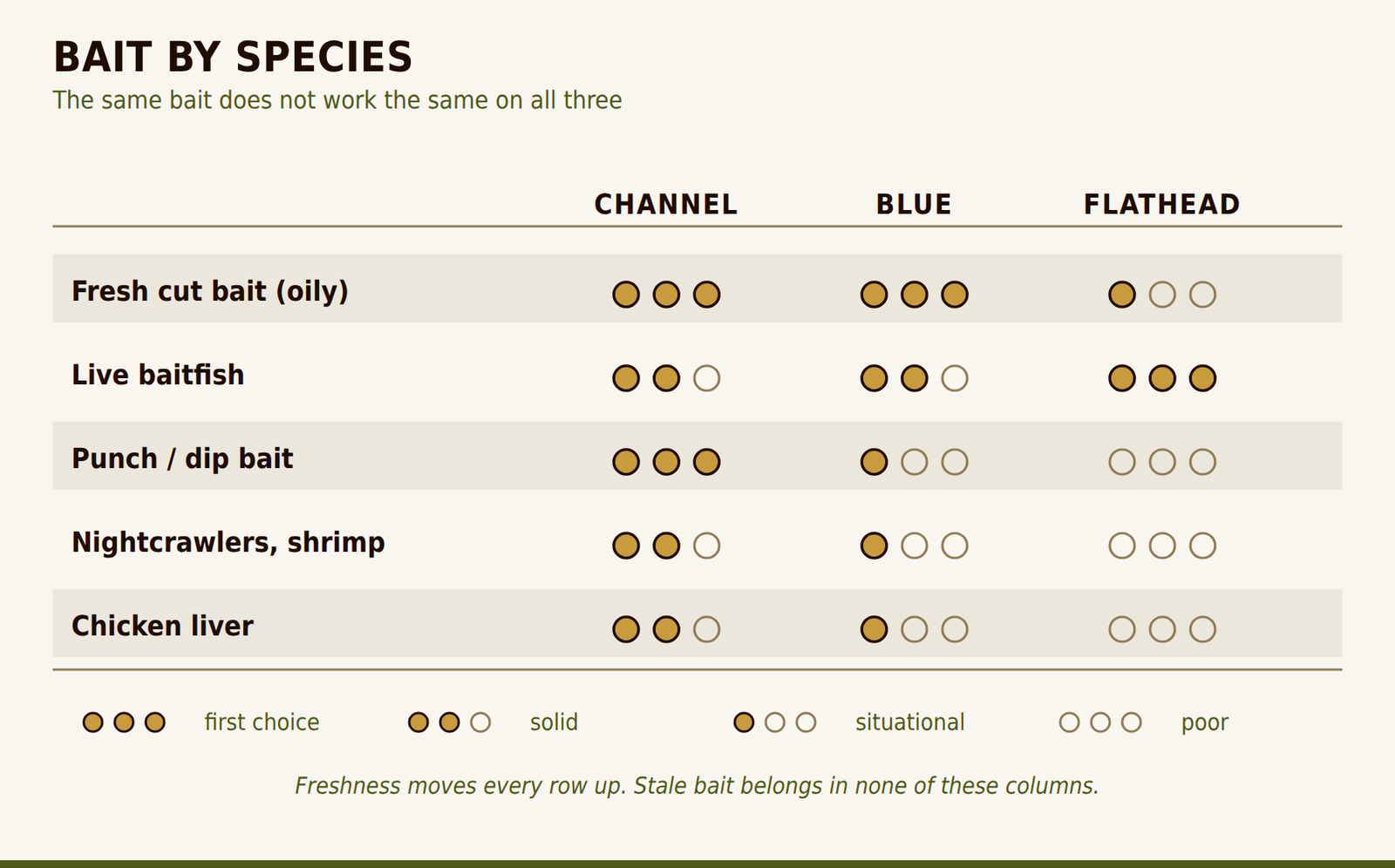 Matrix comparing five catfish baits across channel, blue and flathead catfish, rated from first choice to poor.