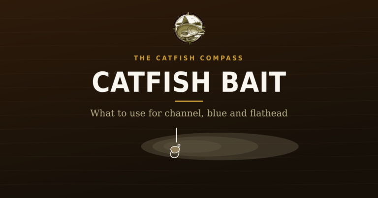 Catfish bait guide — what to use for channel, blue and flathead catfish, from The Catfish Compass