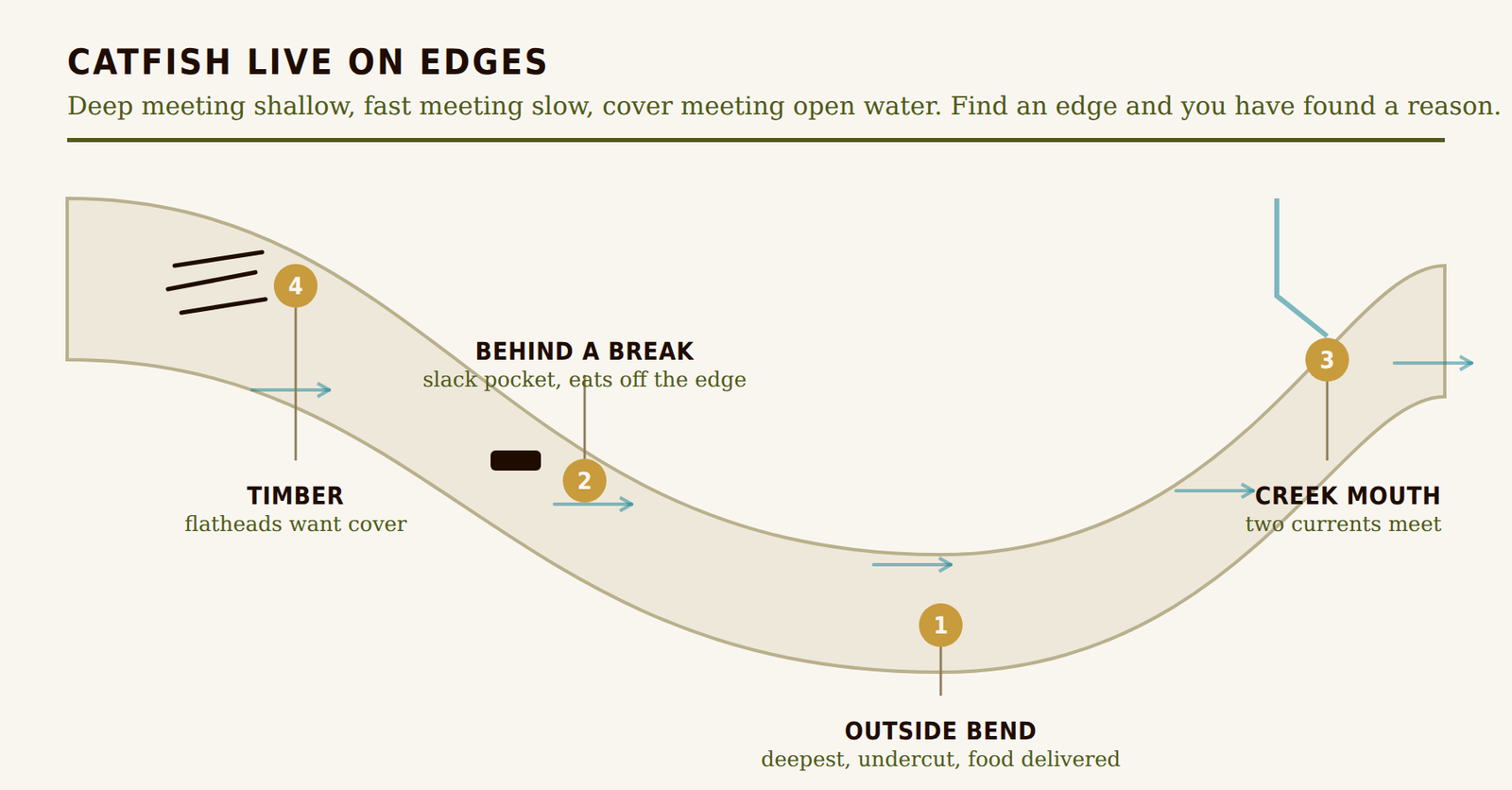 River bend from above showing four places catfish hold: outside bend, behind a current break, a creek mouth, and timber