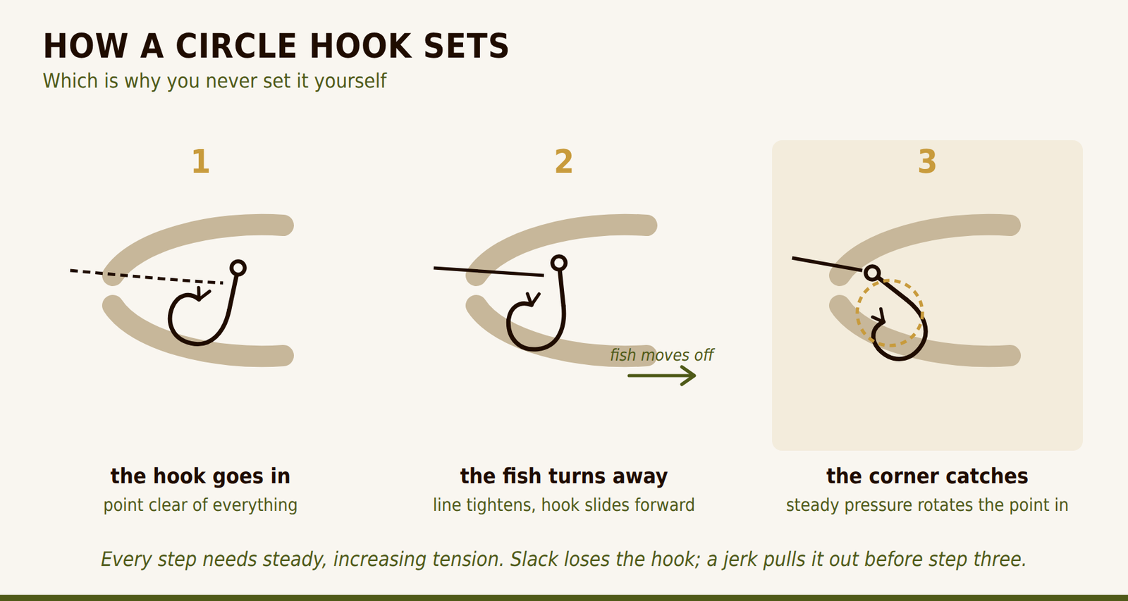 Three-step diagram showing a circle hook entering the mouth, sliding forward as the fish turns, and rotating into the jaw corner.