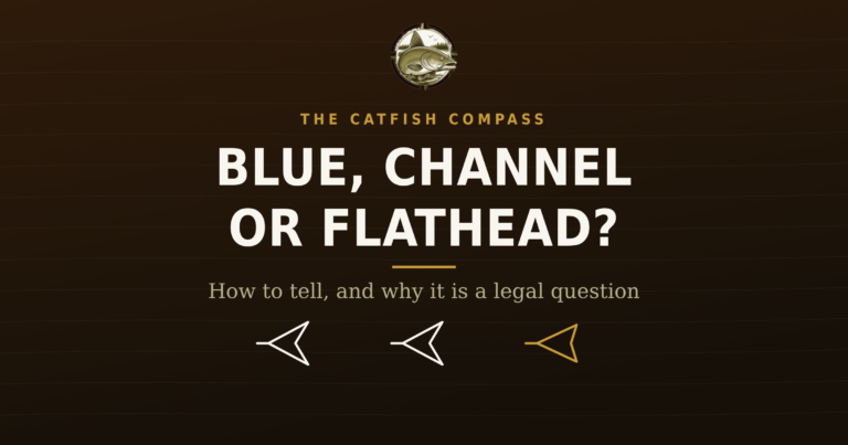 The Catfish Compass title card for catfish identification, blue, channel or flathead
