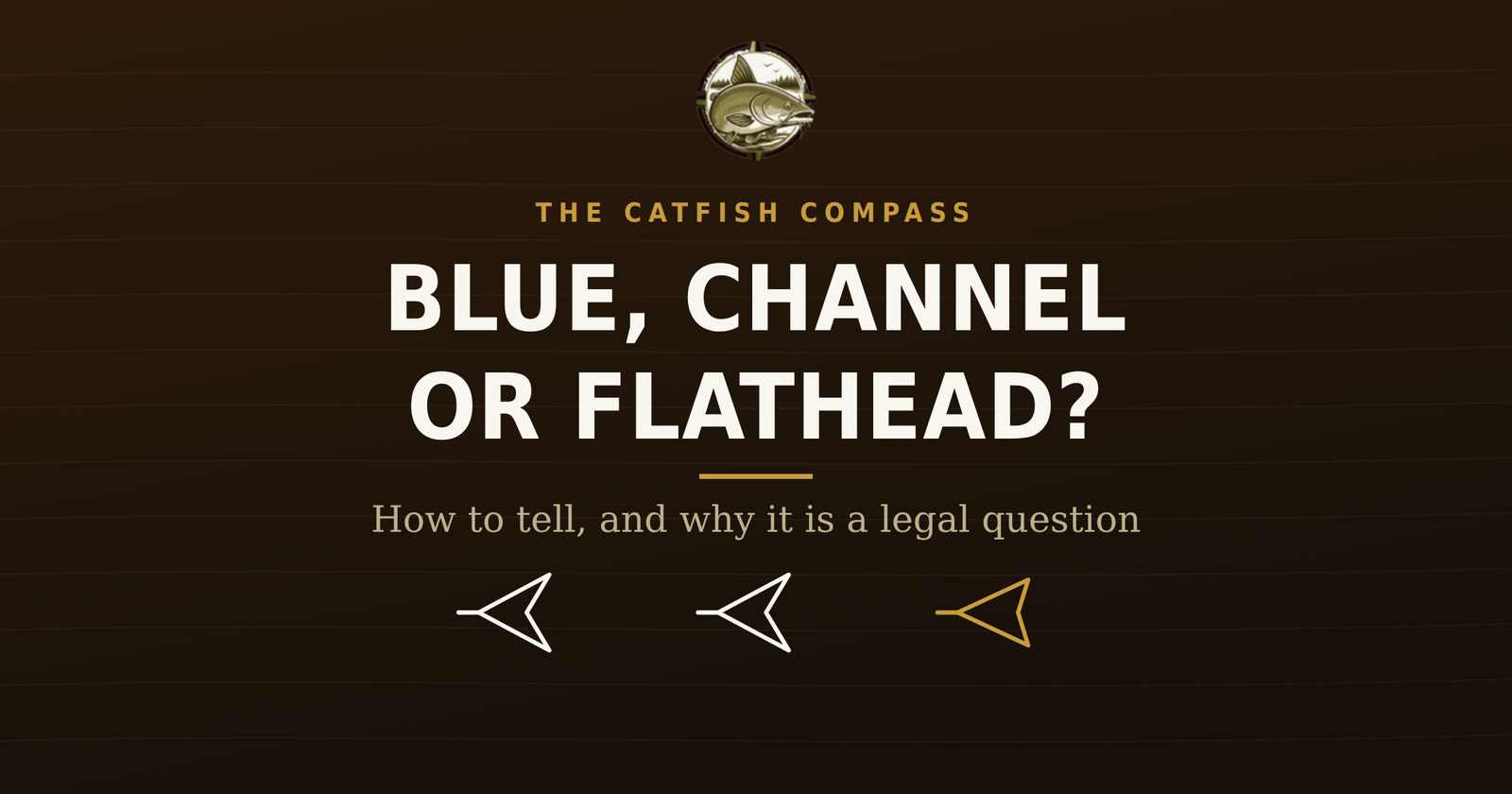 The Catfish Compass title card for catfish identification, blue, channel or flathead