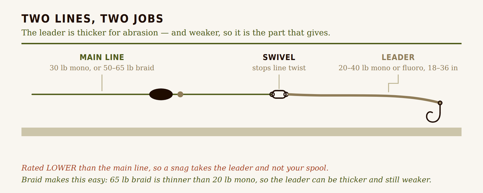 Catfish rig showing braid main line, a barrel swivel, and a thicker but lower-rated mono leader running to the hook