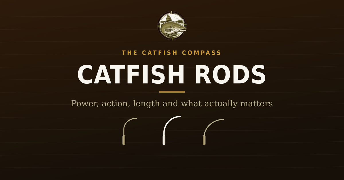 Choosing a catfish rod — three rod actions compared, from The Catfish Compass