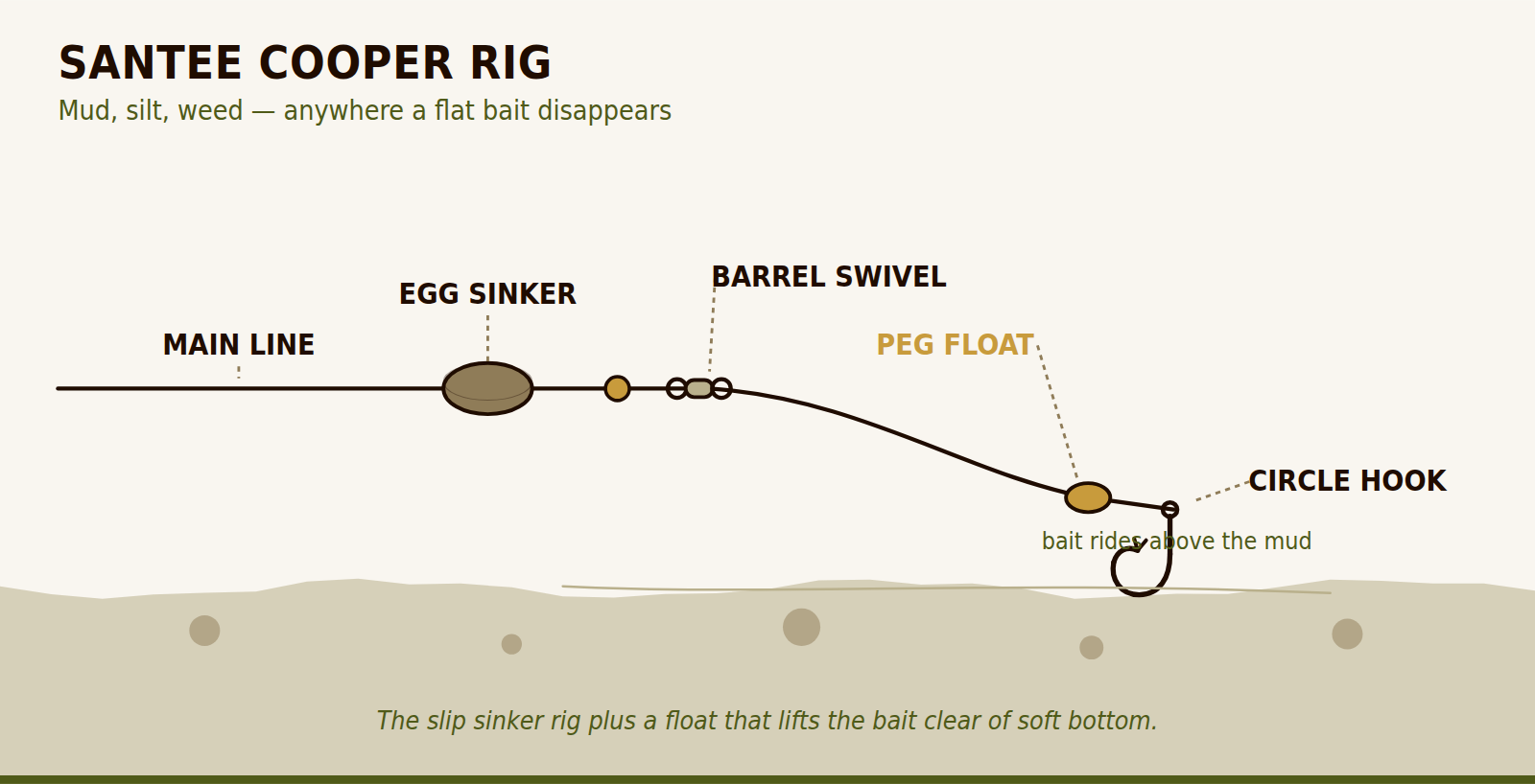 Santee Cooper rig diagram: slip sinker setup with a peg float on the leader holding the circle hook and bait above soft bottom.