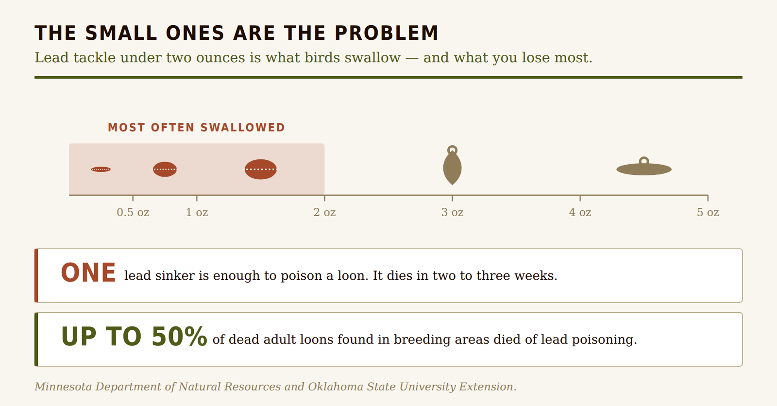 Lead sinkers under two ounces are the size birds most often swallow, shown against a weight scale from half an ounce to five ounces