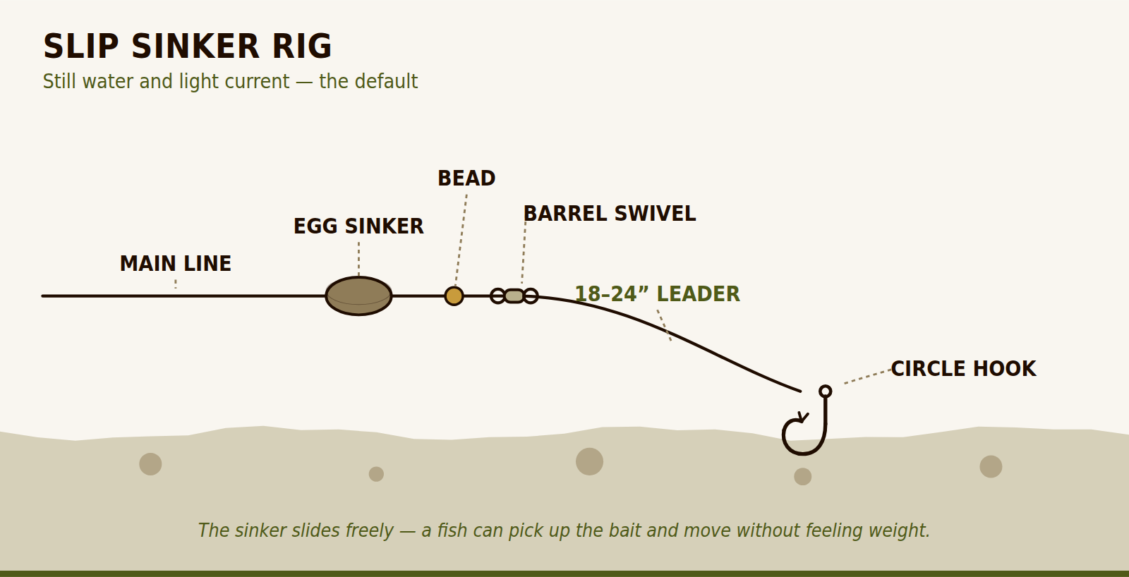 Slip sinker rig diagram showing egg sinker, bead, barrel swivel, leader and circle hook.