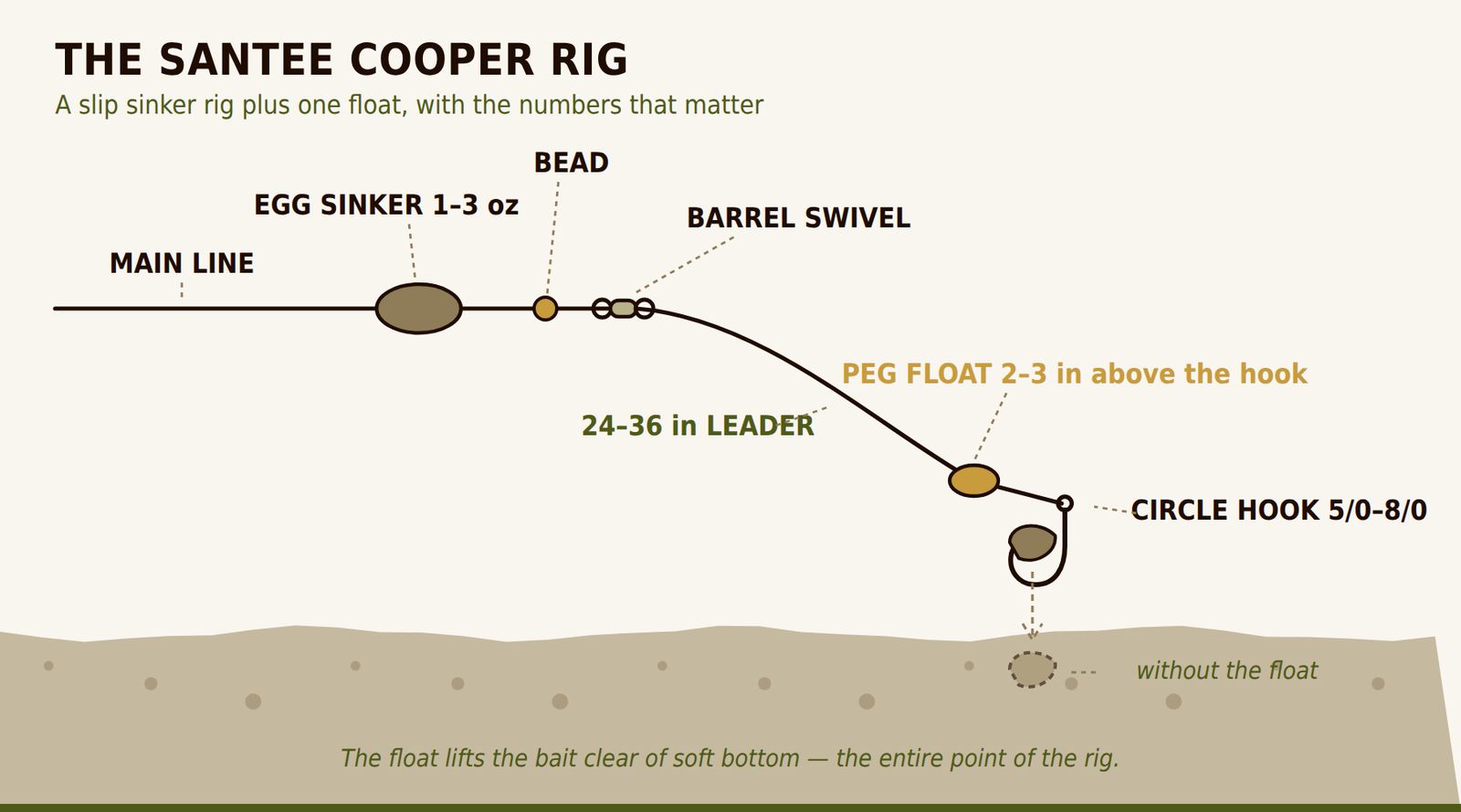 Santee Cooper rig diagram showing egg sinker, bead, barrel swivel, 24 to 36 inch leader, and peg float pegged 2 to 3 inches above a circle hook.